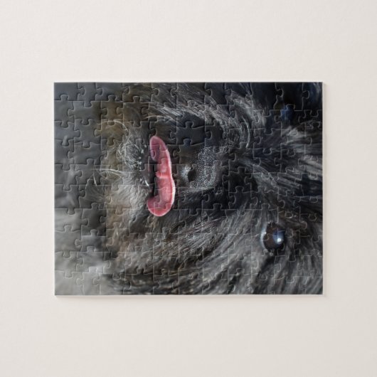 Schattige Caïro Terrier Legpuzzel (Horizontaal)