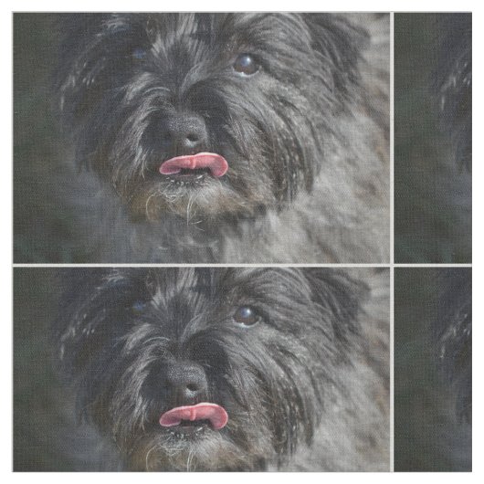 Schattige Caïro Terrier Stof (Close Up)