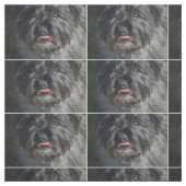 Schattige Caïro Terrier Stof (Swatch)
