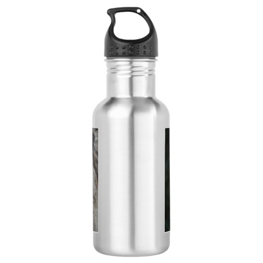 Schattige Caïro Terrier Waterfles (Achterkant)