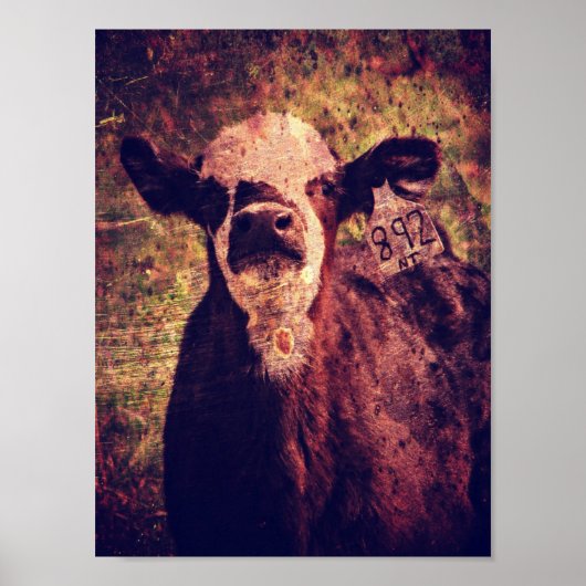 Schattige Calf Grunge Poster (Voorkant)