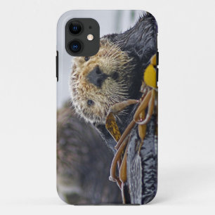 Schattige Californische Zeeotter Enhydra lutris iPhone 11 Hoesje