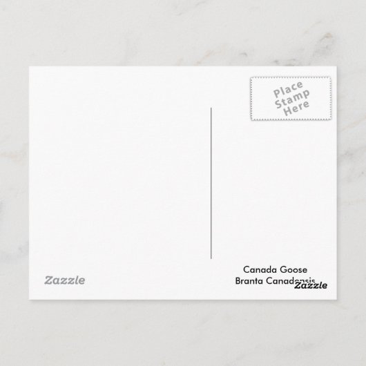 Schattige Canadese goose gosling Briefkaart (Achterkant)