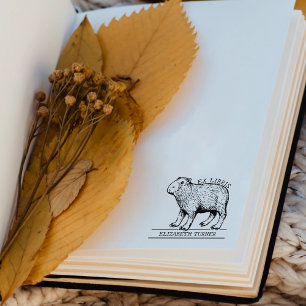 Schattige Capybara ex libris boek Rubberstempel
