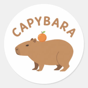 Schattige Capybara Met Sinaasappel Op De Kop Minim Ronde Sticker