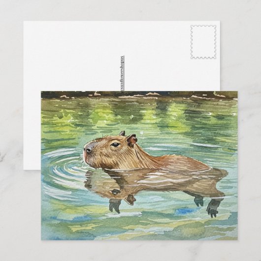 Schattige Capybara Zwemmen Briefkaart (Voorkant / Achterkant)