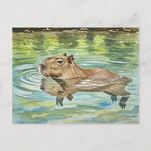 Schattige Capybara Zwemmen Briefkaart