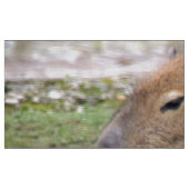 Schattige capybaras, weefsel stof (Fat Quarter)
