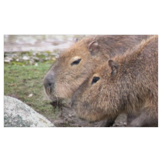 Schattige capybaras, weefsel stof (Yard (91,4 cm))