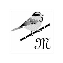 Schattige Carolina Chickadee Cartoon