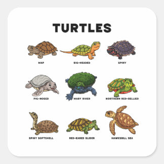 Schattige Carton Schildpadden van de Wereld Vierkante Sticker
