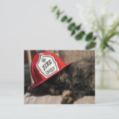 Schattige Cat Briefkaart - Fire Chief (Staand voorkant)