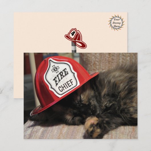 Schattige Cat Briefkaart - Fire Chief (Voorkant / Achterkant)