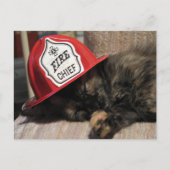 Schattige Cat Briefkaart - Fire Chief (Voorkant)