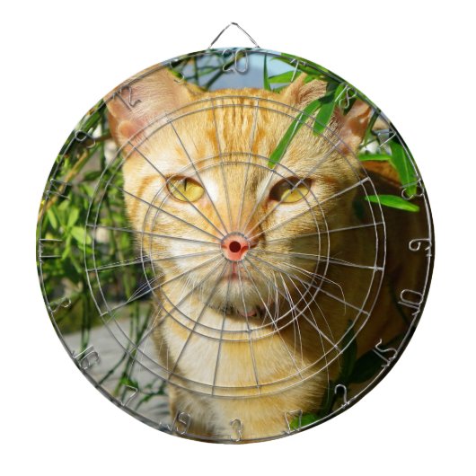 Schattige Cat Dartboard! Dartbord (Voorkant)