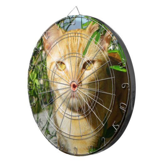 Schattige Cat Dartboard! Dartbord (Voorkant Rechts)