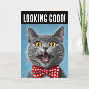 SCHATTIGE CAT FUNNY VERJAARDAG WENSKAART KAART