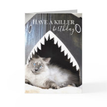 Schattige Cat Killer Shark Birthday Wenskaart