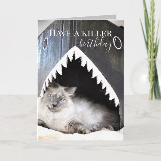 Schattige Cat Killer Shark Birthday Wenskaart Kaart (Voorkant)
