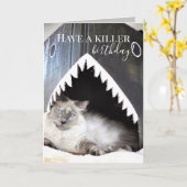 Schattige Cat Killer Shark Birthday Wenskaart Kaart (Gele Bloem)