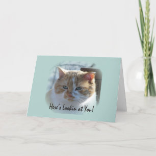 Schattige Cat Vignette-Wenskaart Kaart
