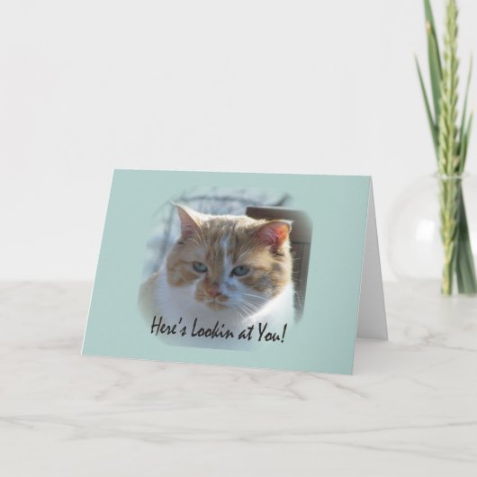 Schattige Cat Vignette-Wenskaart Kaart (Voorkant)