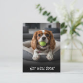 Schattige Cavalier King Charles Spaniel Beterschap Briefkaart (Staand voorkant)