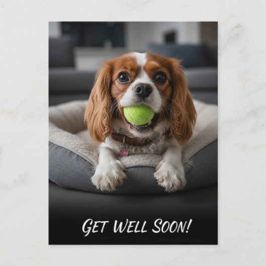 Schattige Cavalier King Charles Spaniel Beterschap Briefkaart (Voorkant)