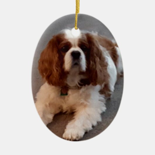 Schattige Cavalier King Charles Spaniel Keramisch Ornament (Voorkant)