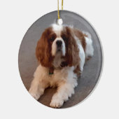Schattige Cavalier King Charles Spaniel Keramisch Ornament (Links)