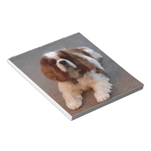 Schattige Cavalier King Charles Spaniel Notitieblok (Schuin)