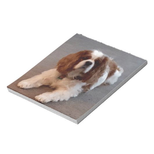Schattige Cavalier King Charles Spaniel Notitieblok (Linkerzijde)