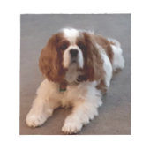 Schattige Cavalier King Charles Spaniel Notitieblok (Voorkant)