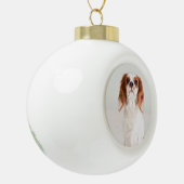 Schattige Cavalier King Charles Spaniel Ornament (Links)