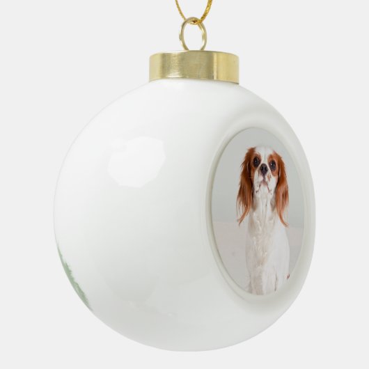 Schattige Cavalier King Charles Spaniel Ornament (Links)