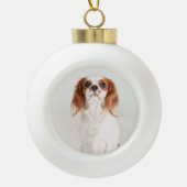 Schattige Cavalier King Charles Spaniel Ornament (Voorkant)