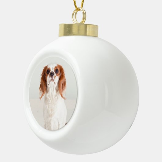 Schattige Cavalier King Charles Spaniel Ornament (Rechts)