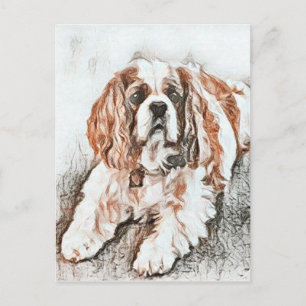 Schattige Cavalier King Charles Spaniel Sketch Briefkaart