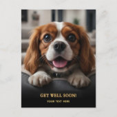Schattige Cavalier King Charles Spaniel Word Gauw  Briefkaart (Voorkant)