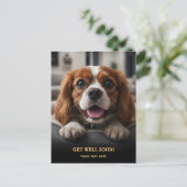 Schattige Cavalier King Charles Spaniel Wordt bete Briefkaart (Staand voorkant)