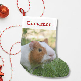 Schattige cavia huisdier foto en naam gepersonalis kleine kerstsok