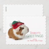 Schattige cavia met kerst Pet op wit Feestdagenkaart (Voorkant / Achterkant)