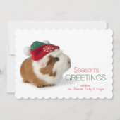 Schattige cavia met kerst Pet op wit Feestdagenkaart (Voorkant)
