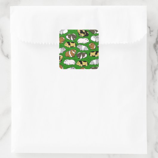 Schattige cavia patroon vierkante sticker (Tas)