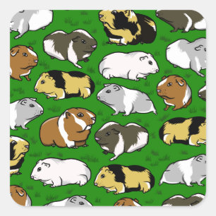 Schattige cavia patroon vierkante sticker