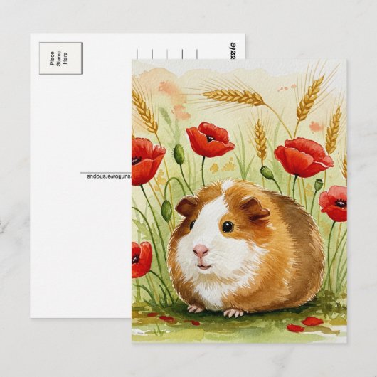 Schattige cavia poppy flowers Briefkaart (Voorkant / Achterkant)