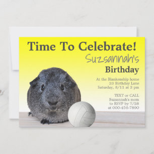 Schattige Cavia Volleybal Verjaardagsfeestje Kaart