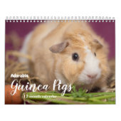 Schattige cavia's 2025 kalender (Hoes)