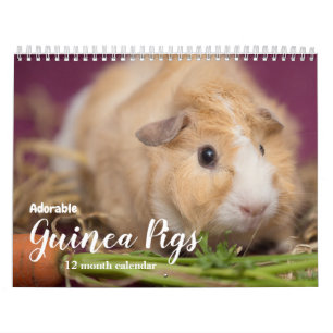 Schattige cavia's 2025 kalender
