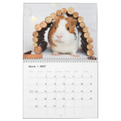 Schattige cavia's 2025 kalender (Mar 2027)